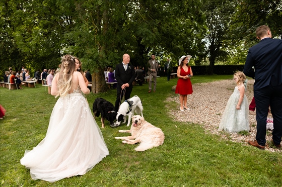 Shooting photo à Compiègne dont l'auteur est : Frédéric : photographie de mariage