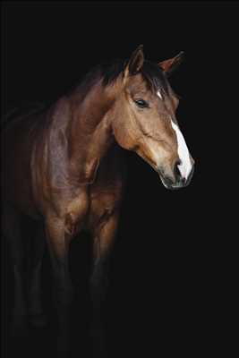 photo n°6 du photographe CARLA - Fréjus