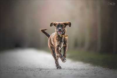 photo n°9 du photographe CARLA - Fréjus