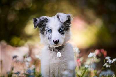 photo n°11 - séance photo avec Maeva à Nîmes
