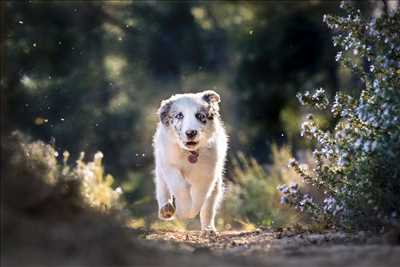 photographie n°12 - faire une séance photo avec Maeva à Nîmes