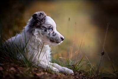photographie n°13 - faire un shooting photo avec Maeva à Nîmes