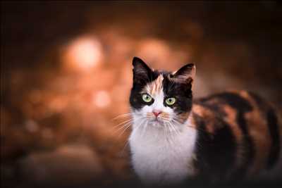 belle photo n°14 - faire un shooting photo avec Maeva à Nîmes