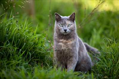 photo n°15 de Maeva photographe à Nîmes
