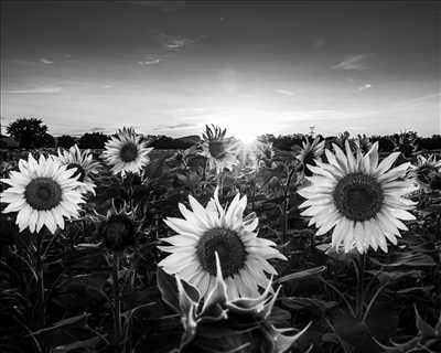 photo n°16 du photographe Laurent - Bourgoin-jallieu