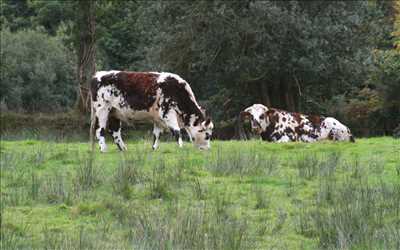 photo prise par le photographe bruno à Coutances : photographie événementiel