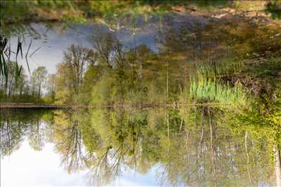 photo n°15 de Hervé photographe à Fontainebleau