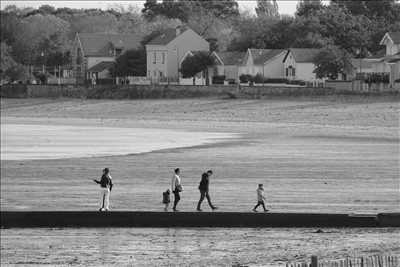 photo n°9 du photographe Philippe - La rochelle