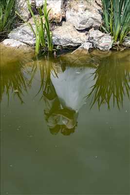 photographie n°17 - faire un shooting photo avec Grondin à Lagny-sur-marne