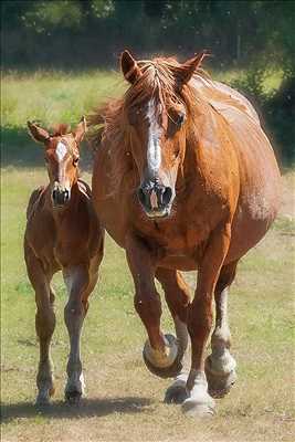 photographie de Eric à Lagny-sur-marne