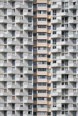 photographie de Téo à Schiltigheim : photo de bien immobilier