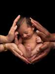 cliché proposé par CARMEN à La ciotat : shooting pour une naissance