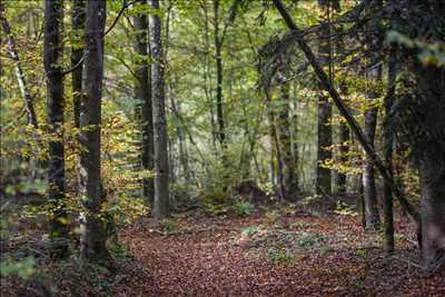 photo n°30 du photographe Jean-Marc - Montbéliard