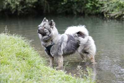 photographie de Alexis à Issoudun