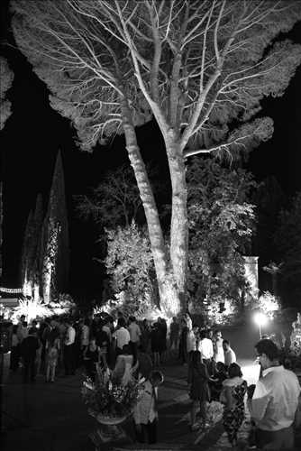 Exemple de shooting photo par yann à Arles : photo de mariage