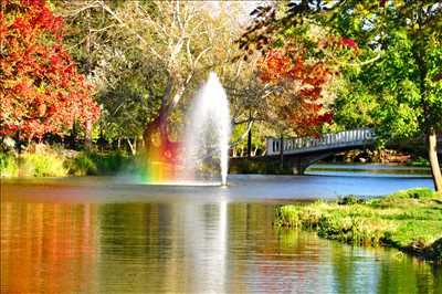 photo n°9 du photographe Margaux - Saint-germain-en-laye