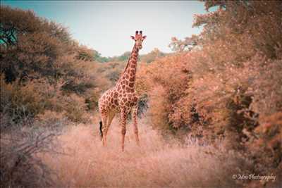 photographie de Marion à La tour-du-pin