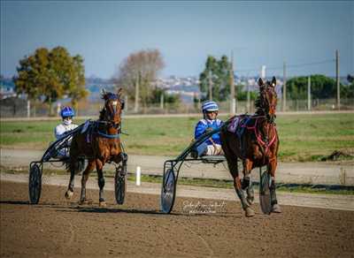 photo n°8 de Sébastien photographe à Montauban