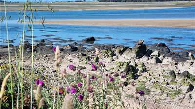 photo prise par le photographe Bcome 35 à Saint-Malo