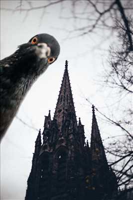 cliché proposé par Clfd Capture. à Clermont ferrand