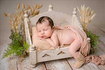 photographie de TINY BIRDY à Le mans : photo de naissance