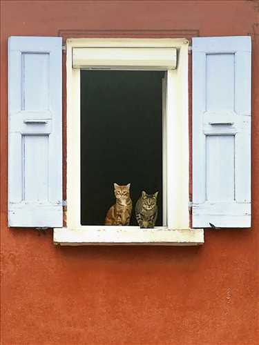 photo prise par le photographe bertrand à Aix en provence