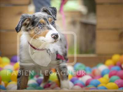 Shooting photo réalisé par Fabien intervenant à Calais