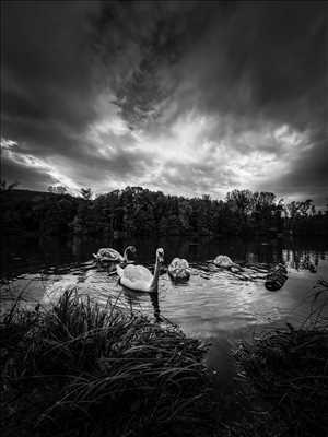 photo prise par le photographe Denis  à Bourg-lès-valence