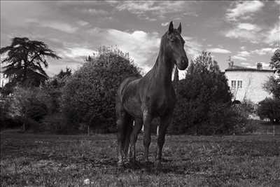 Exemple de shooting photo par Camille à Romans-sur-isère