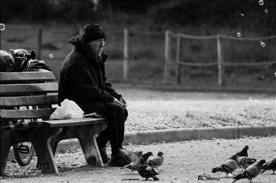 photo n°2 du photographe Stéphane - Clermont-ferrand