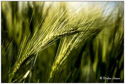 photographie n°48 - faire un shooting photo avec Didier à Evreux