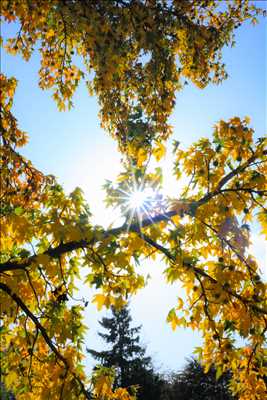 photo n°48 du photographe Alexandre - Noisy-le-grand