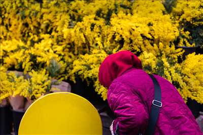 photo n°50 de Alexandre photographe à Noisy-le-grand