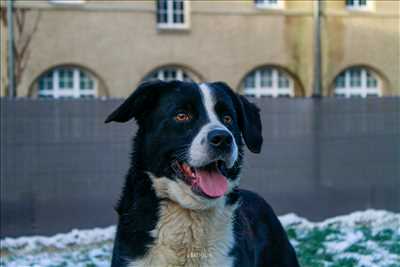 photo n°1 de Julien photographe à Vichy
