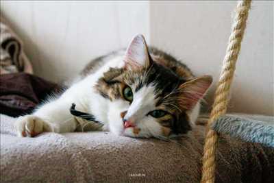 photo n°2 du photographe Julien - Vichy