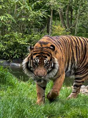 photographie n°3 - faire une séance photo avec Julien à Vichy