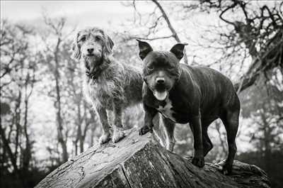 photo numérisée par le photographe Sébastien à Sainte-Luce-sur-Loire