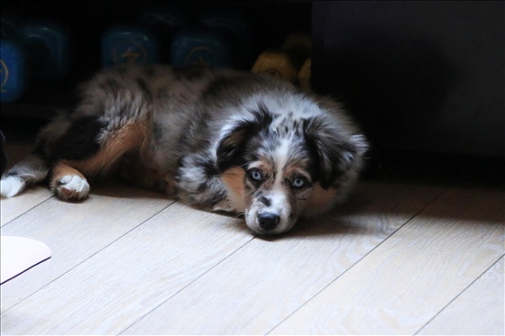 Photo n°48 - photographe Amelie