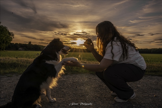 cliché proposé par Iliana  à Élancourt