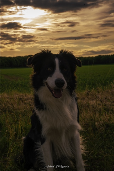 photographie de Iliana  à Élancourt