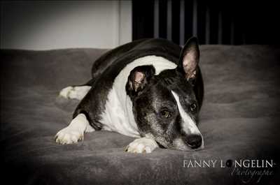 photographie n°34 - faire un shooting photo avec Fanny à Maubeuge