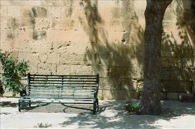 photo n°29 de Sacha photographe à Paris 4ème