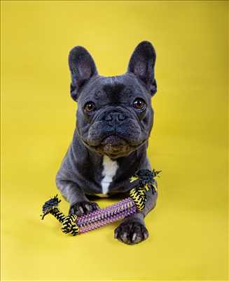 photo n°31 du photographe Alba - Albertville