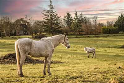 photographie n°27 - faire un shooting photo avec Ghyslain à Périgueux
