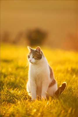 photo n°29 - séance photo avec Vanessa à Nevers