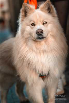 belle photo n°4 - faire un shooting photo avec Julien à Arcachon