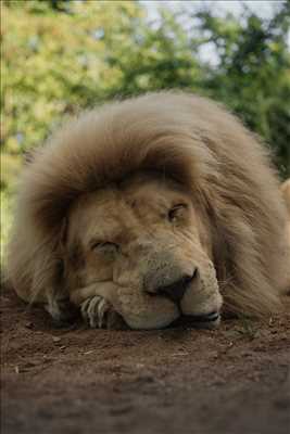 belle photo n°11 - faire un shooting photo avec Waamyr à Metz