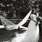Shooting photo à Montpellier dont l'auteur est : Amor : shooting mariage