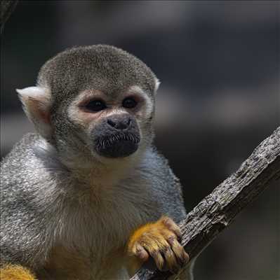 photo n°4 de Arnaud photographe à Saint-germain-en-laye