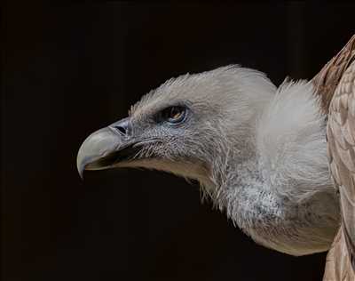 photographie n°5 - faire une séance photo avec Arnaud à Saint-germain-en-laye